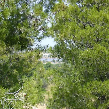 Ktima Nafsika - First-floor Luxury In Majestic Estate Casa vacanze Rozaíika