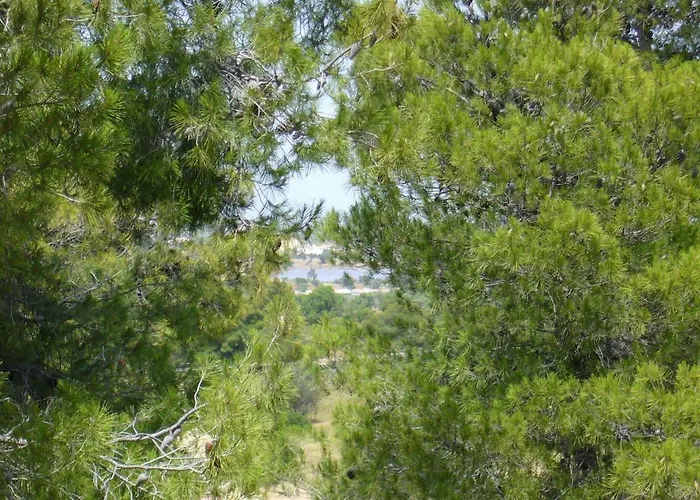 Ktima Nafsika - First-floor Luxury In Majestic Estate Vakantiehuis Rozaíika