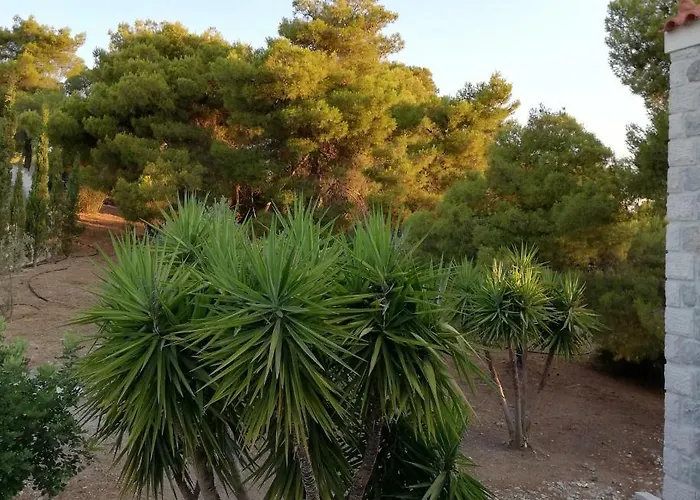 Ktima Nafsika - First-floor Luxury In Majestic Estate *